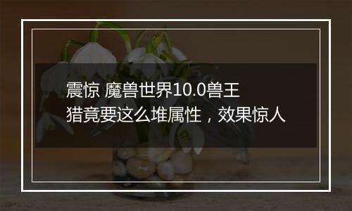 震惊 魔兽世界10.0兽王猎竟要这么堆属性，效果惊人