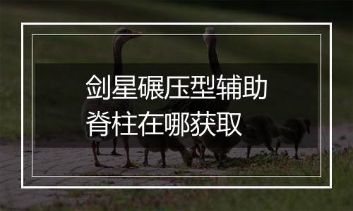 剑星碾压型辅助脊柱在哪获取