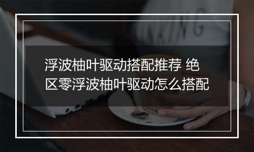 浮波柚叶驱动搭配推荐 绝区零浮波柚叶驱动怎么搭配