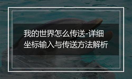 我的世界怎么传送-详细坐标输入与传送方法解析