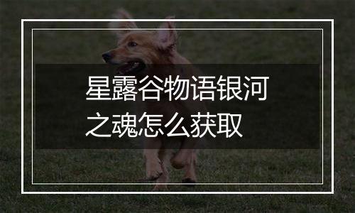 星露谷物语银河之魂怎么获取