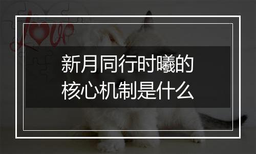 新月同行时曦的核心机制是什么