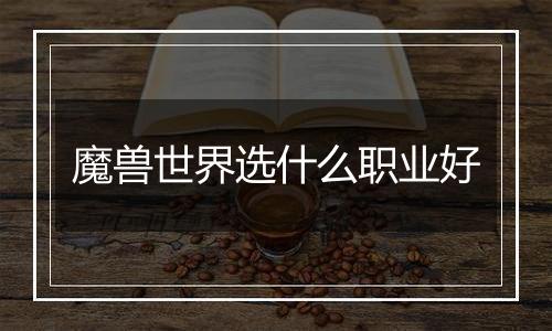 魔兽世界选什么职业好