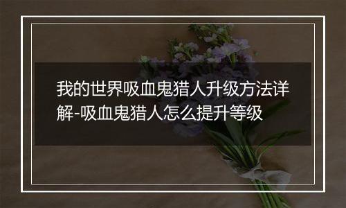 我的世界吸血鬼猎人升级方法详解-吸血鬼猎人怎么提升等级