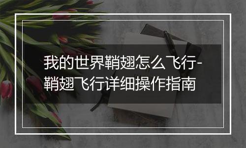我的世界鞘翅怎么飞行-鞘翅飞行详细操作指南