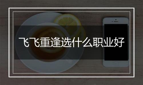 飞飞重逢选什么职业好