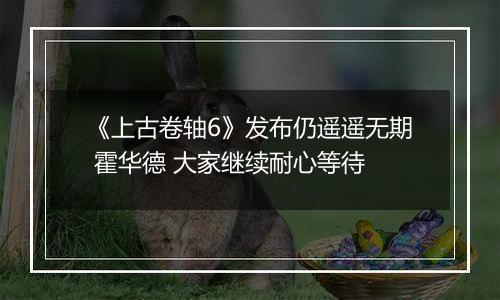 《上古卷轴6》发布仍遥遥无期 霍华德 大家继续耐心等待