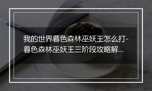 我的世界暮色森林巫妖王怎么打-暮色森林巫妖王三阶段攻略解析