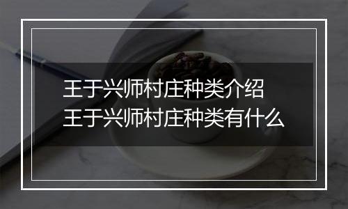 王于兴师村庄种类介绍 王于兴师村庄种类有什么
