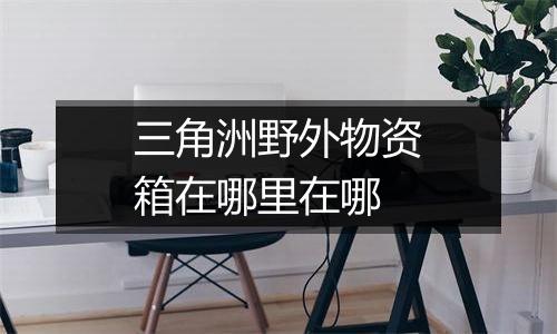 三角洲野外物资箱在哪里在哪
