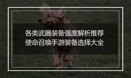 各类武器装备强度解析推荐 使命召唤手游装备选择大全