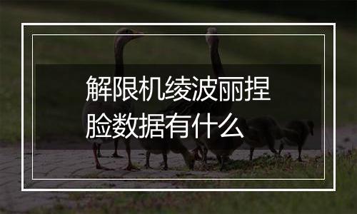 解限机绫波丽捏脸数据有什么