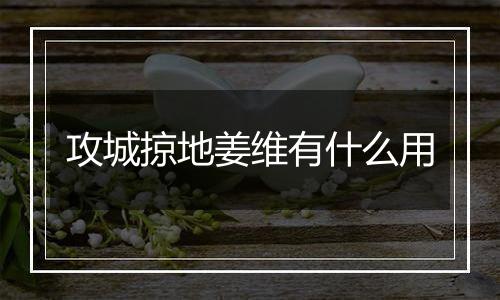攻城掠地姜维有什么用