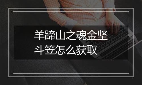 羊蹄山之魂金坚斗笠怎么获取