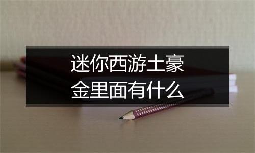 迷你西游土豪金里面有什么