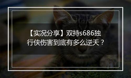 【实况分享】双持s686独行侠伤害到底有多么逆天？