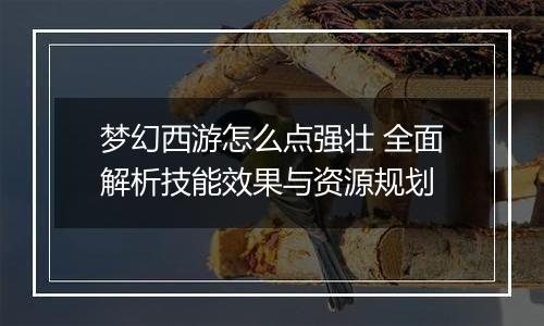 梦幻西游怎么点强壮 全面解析技能效果与资源规划