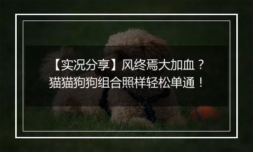 【实况分享】风终焉大加血？猫猫狗狗组合照样轻松单通！