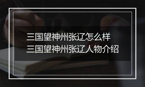 三国望神州张辽怎么样 三国望神州张辽人物介绍